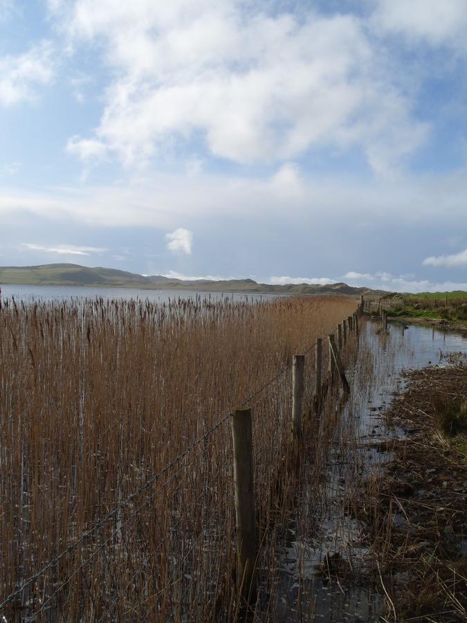 The Mill Hotel Dunfanaghy Eksteriør billede